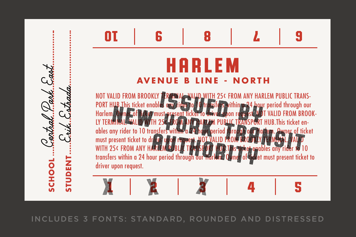 Authority - Image 7