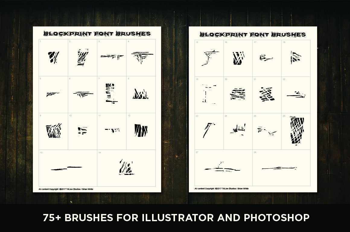 Blockprint Font & Brush Pack for Adobe Illustrator and Adobe Photoshop - Image 15