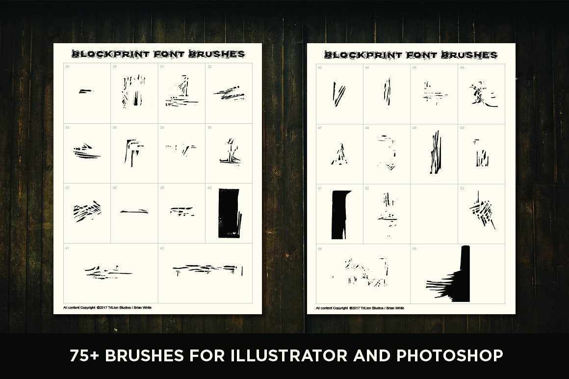 Blockprint Font & Brush Pack for Adobe Illustrator and Adobe Photoshop - Image 16