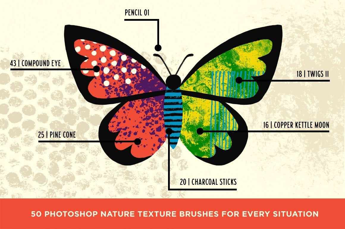 Bug Lab | Nature Texture Brushes for Photoshop - Image 6