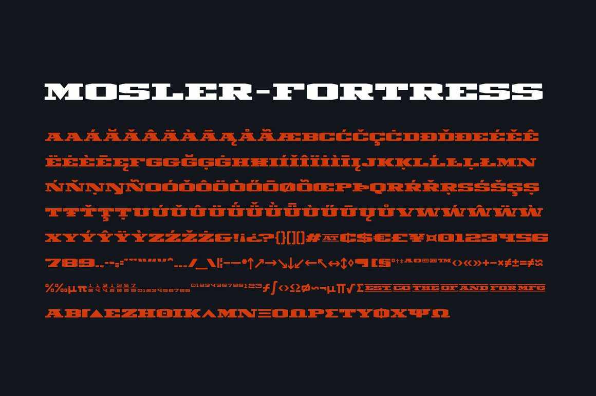 Carmel Type Font Bundle - Image 28