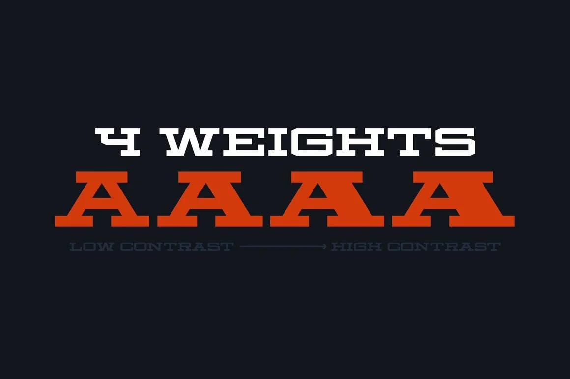 Carmel Type Font Bundle - Image 33