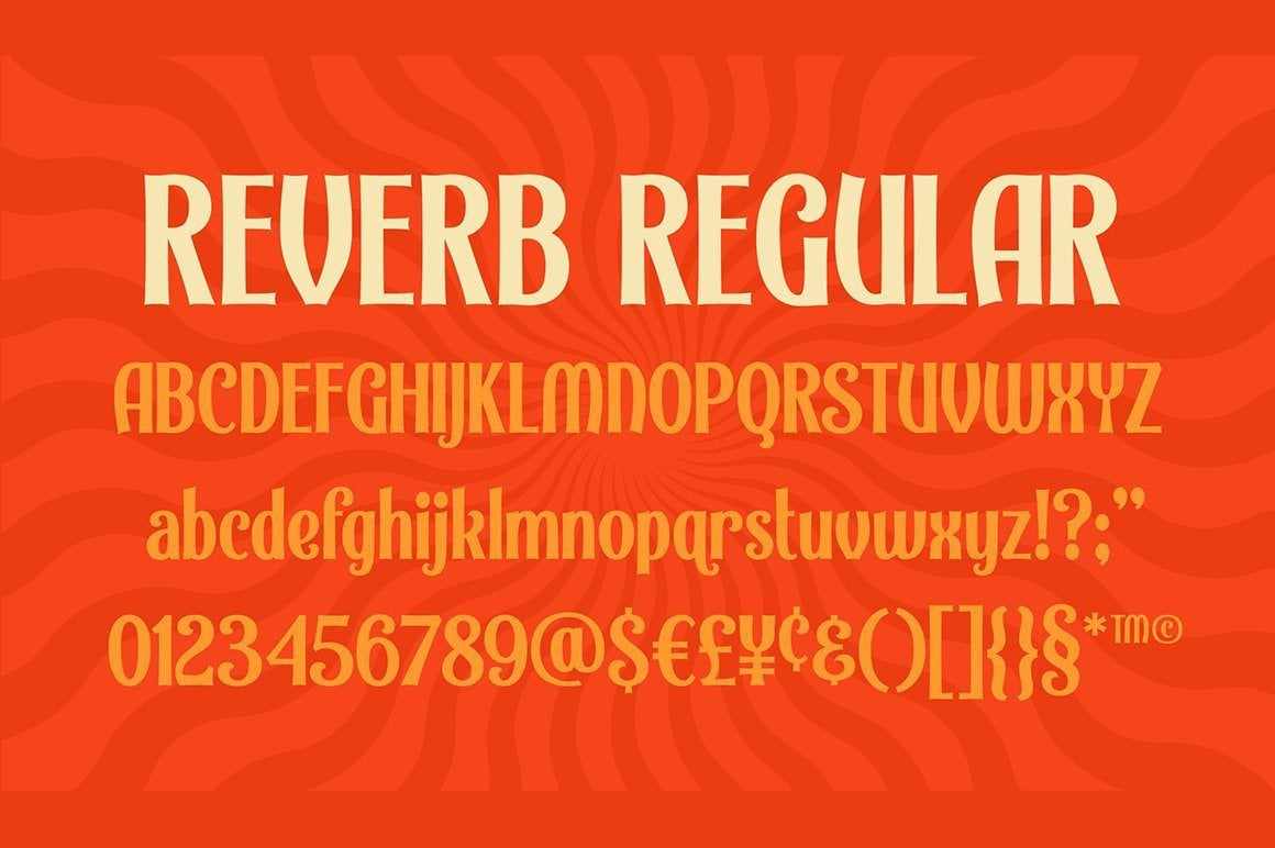 Carmel Type Font Bundle - Image 41
