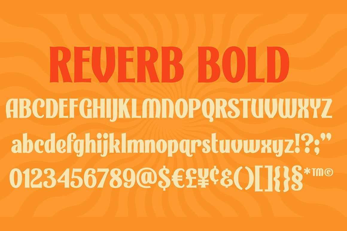 Carmel Type Font Bundle - Image 42