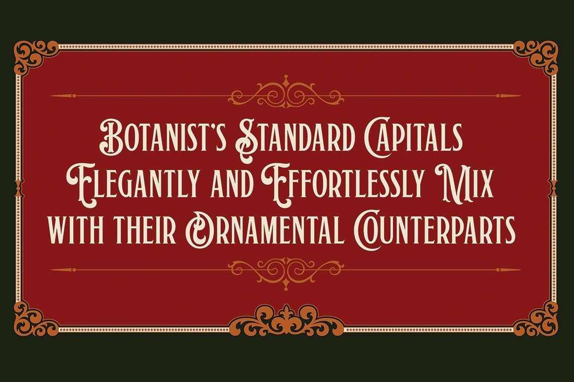 Carmel Type Font Bundle - Image 59