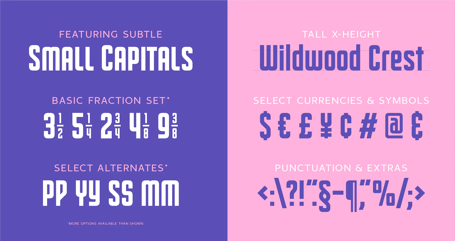 Carmel Type Font Bundle - Image 75