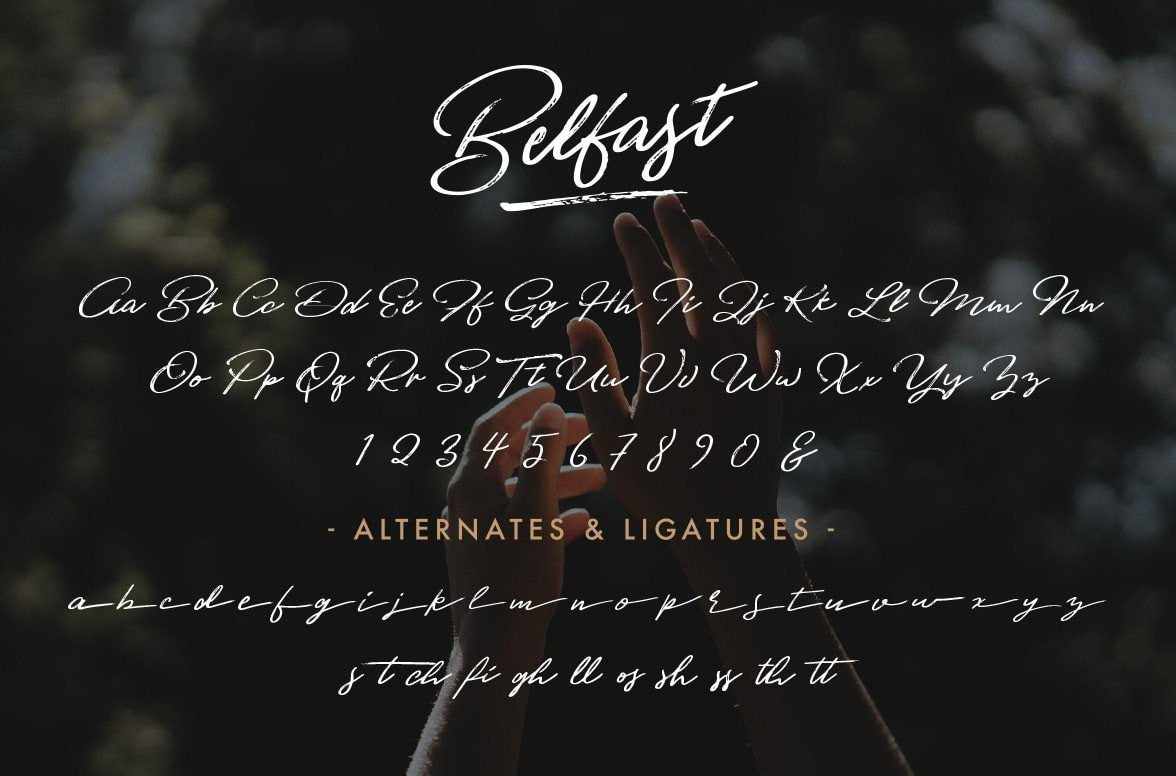The Curiosities Font Collection - Image 17