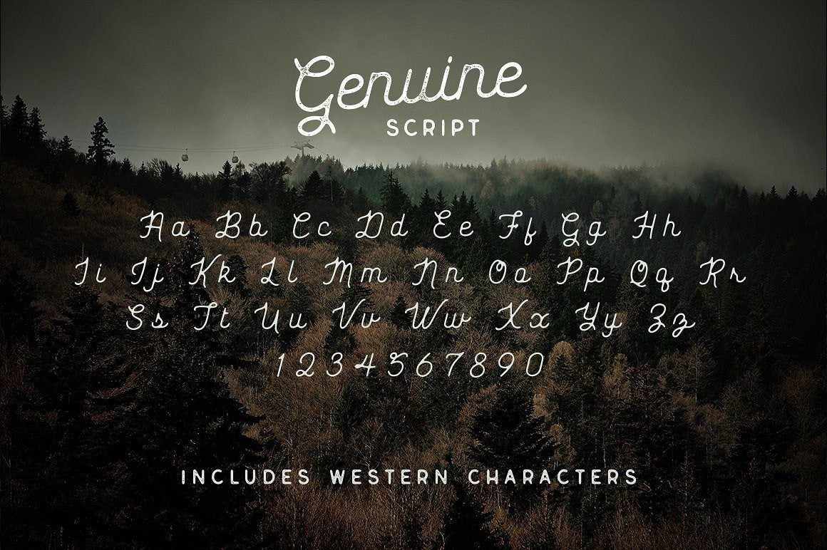 The Curiosities Font Collection - Image 45