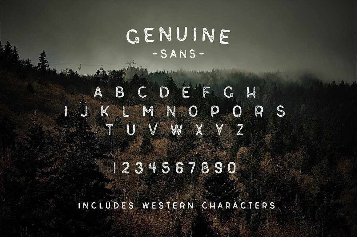 The Curiosities Font Collection - Image 46
