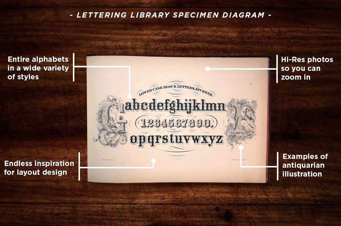Lettering Library | Mega Bundle - Image 6