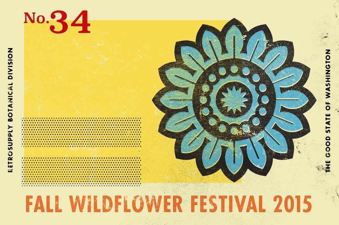 The Mid-Century Nature Vector Art Kit for Adobe Illustrator - Image 4