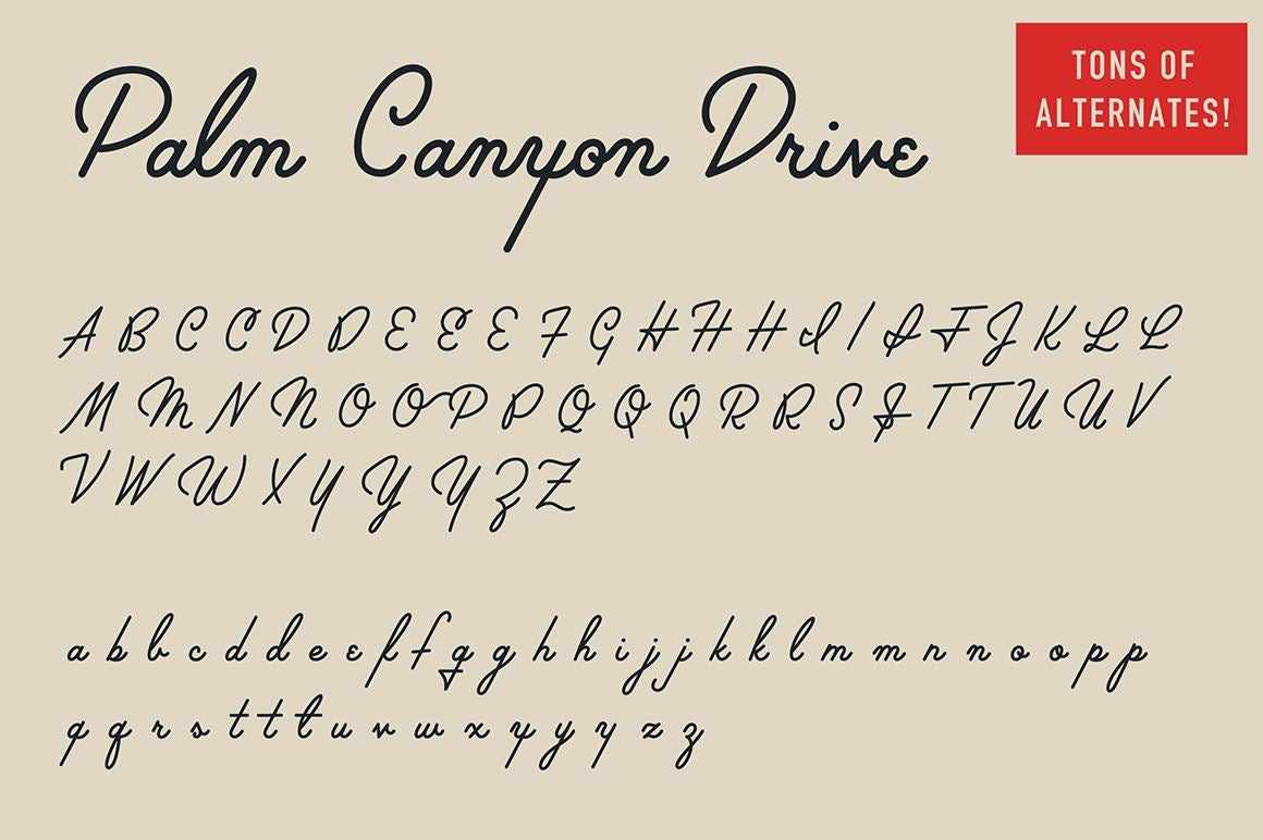 Palm Canyon Drive - Image 4