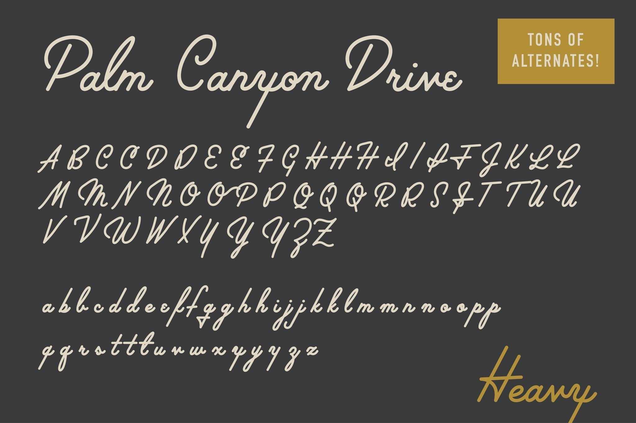 Palm Canyon Drive [Deluxe Edition] - Image 6
