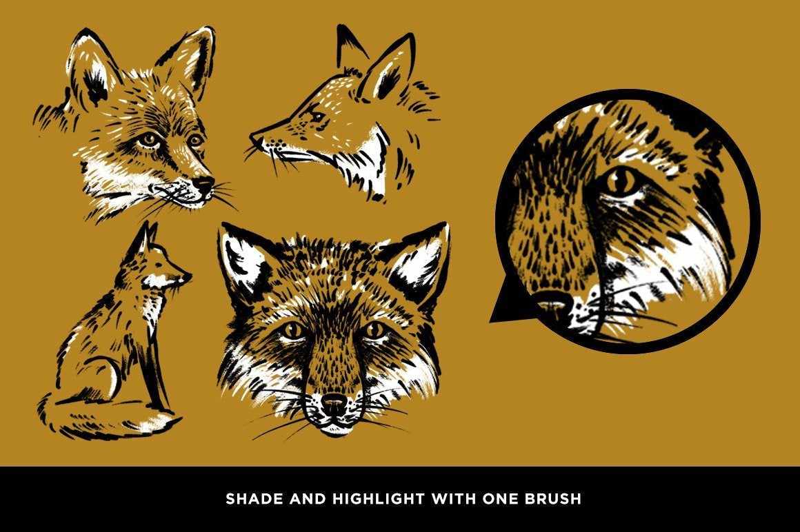 The Classic Procreate Illustration Brush Pack featuring Sam Larson - Image 14