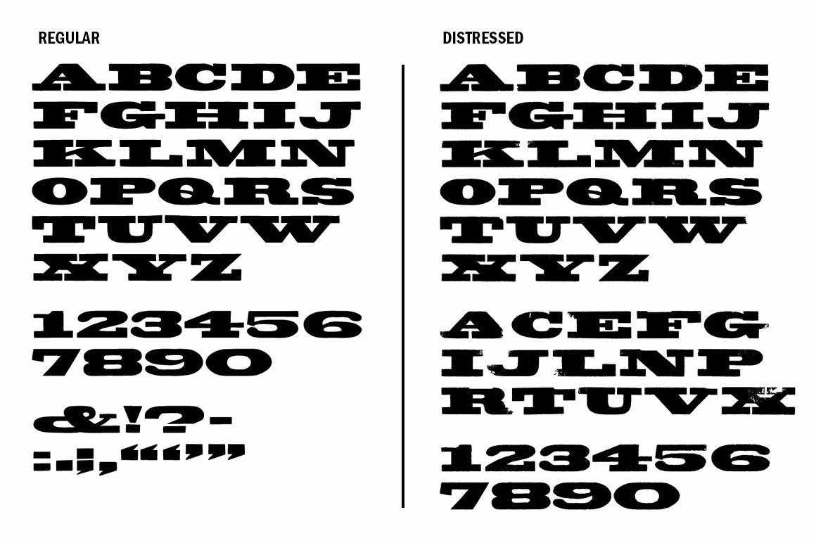 Wood Type Revival Bundle - Image 10