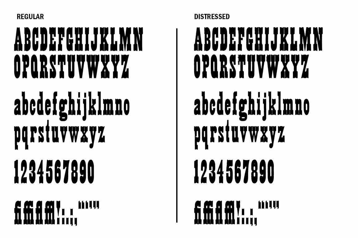 Wood Type Revival Bundle - Image 13