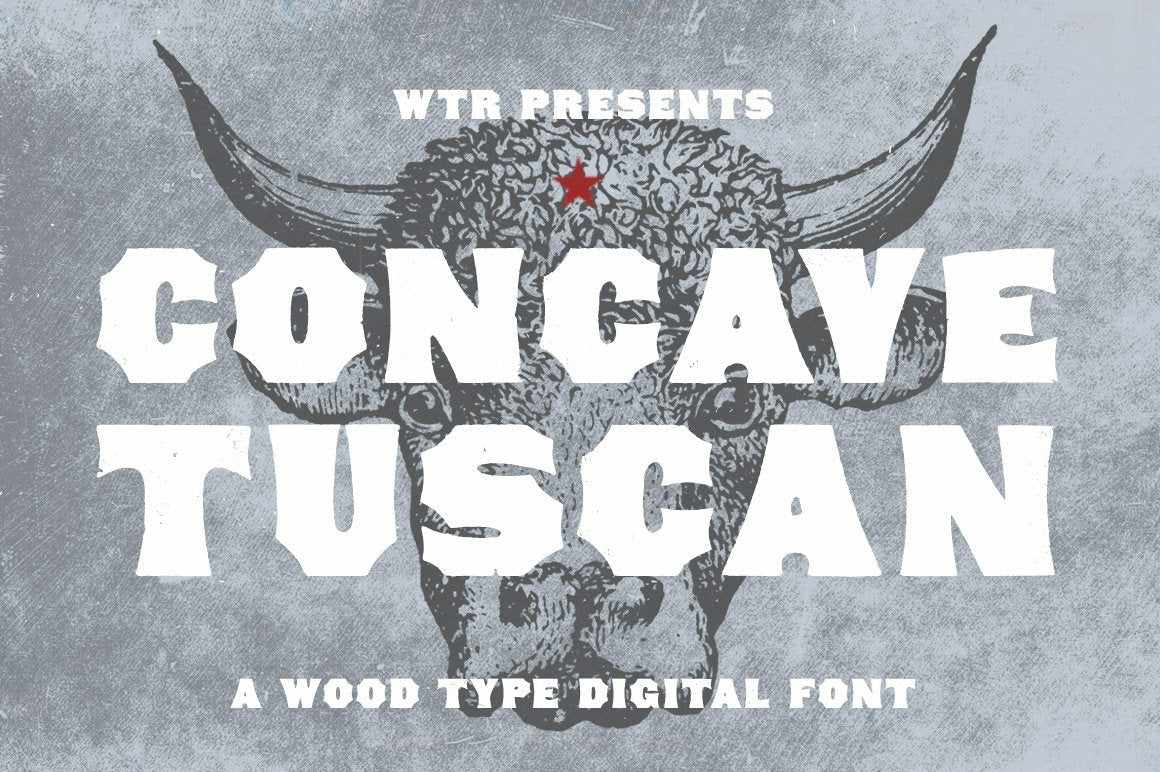 Wood Type Revival Bundle - Image 27
